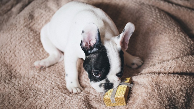 просить прощения у любимого