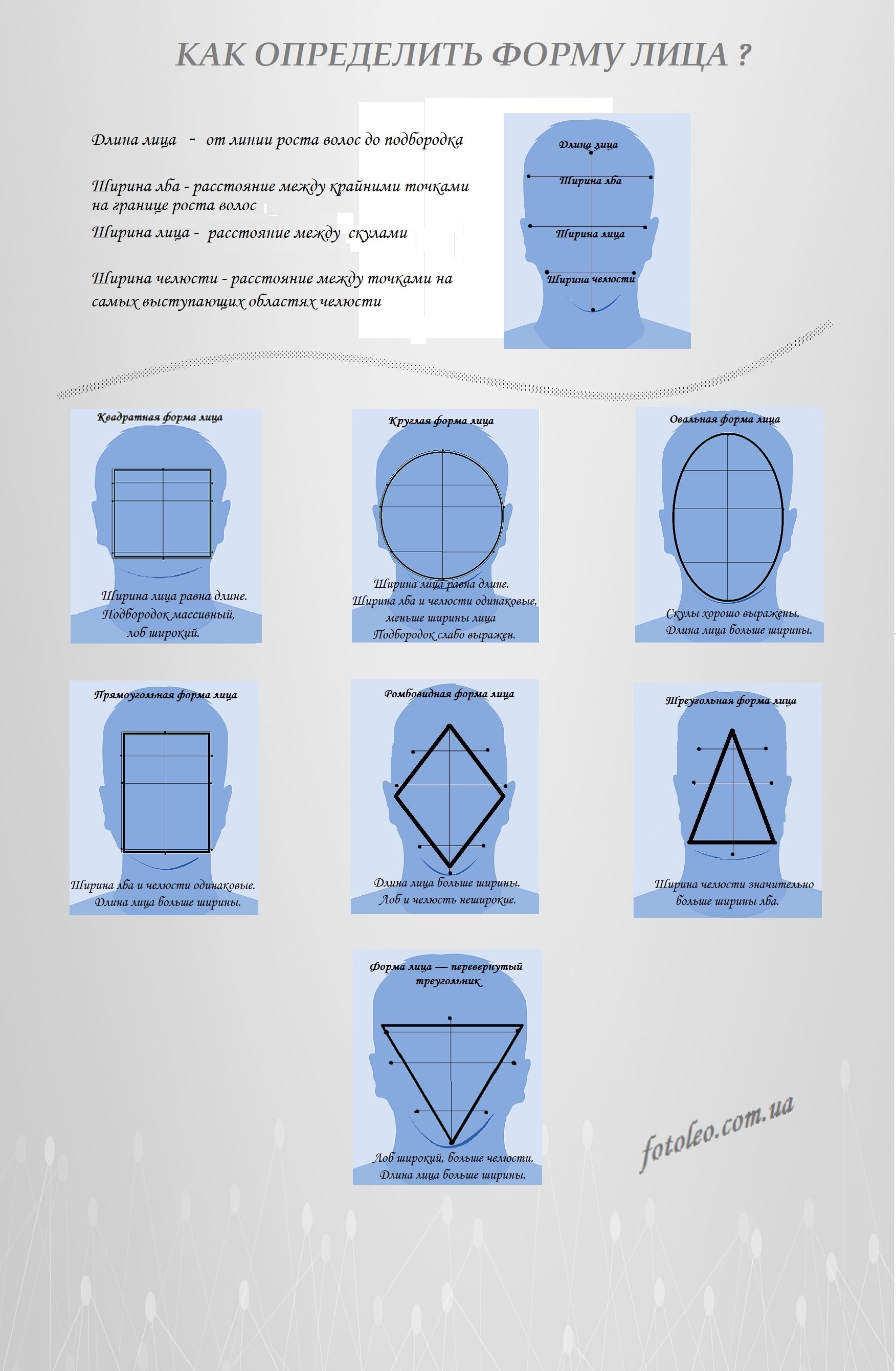 форма бороды