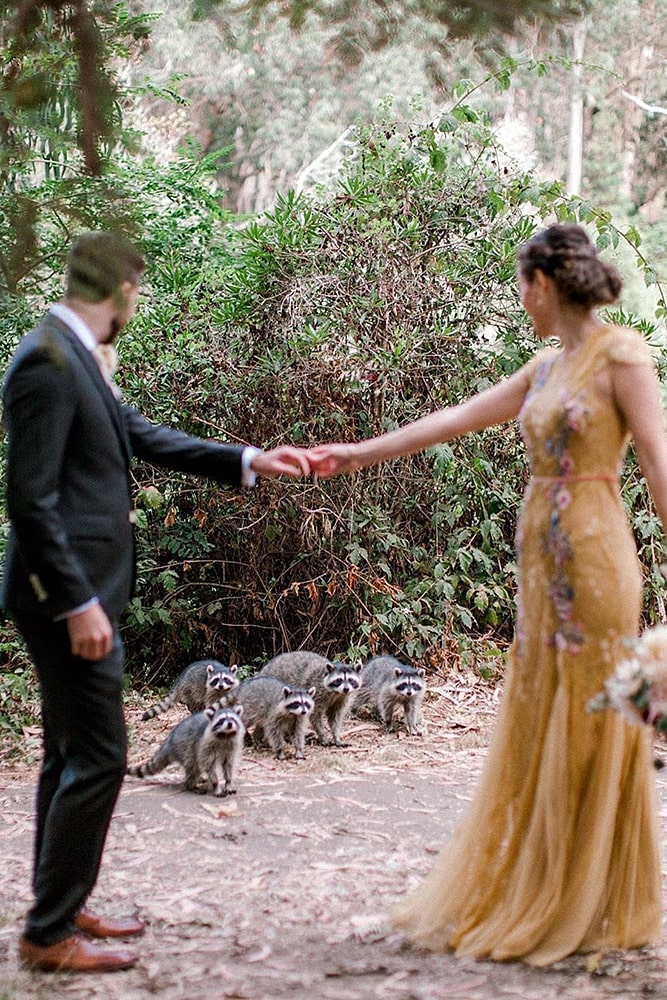 еноты свадебная фотосессия пара молодоженов в парке