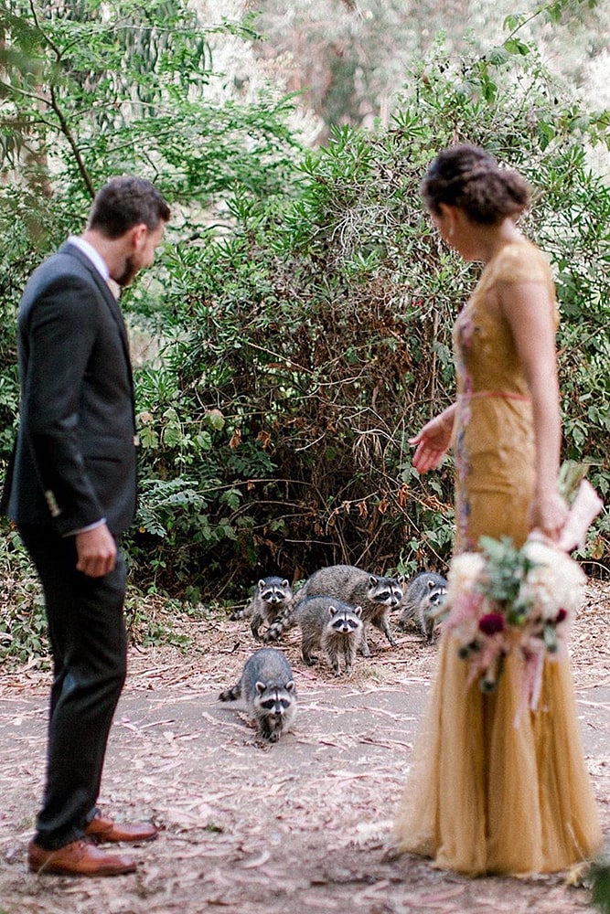 еноты свадебная фотосессия пара молодоженов в парке