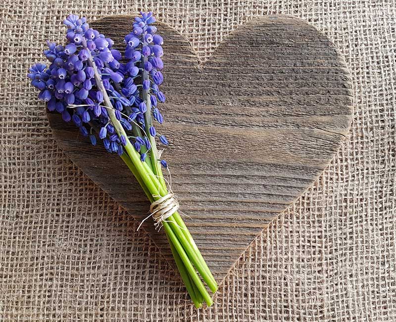 день святого валентина день всех влюбленных