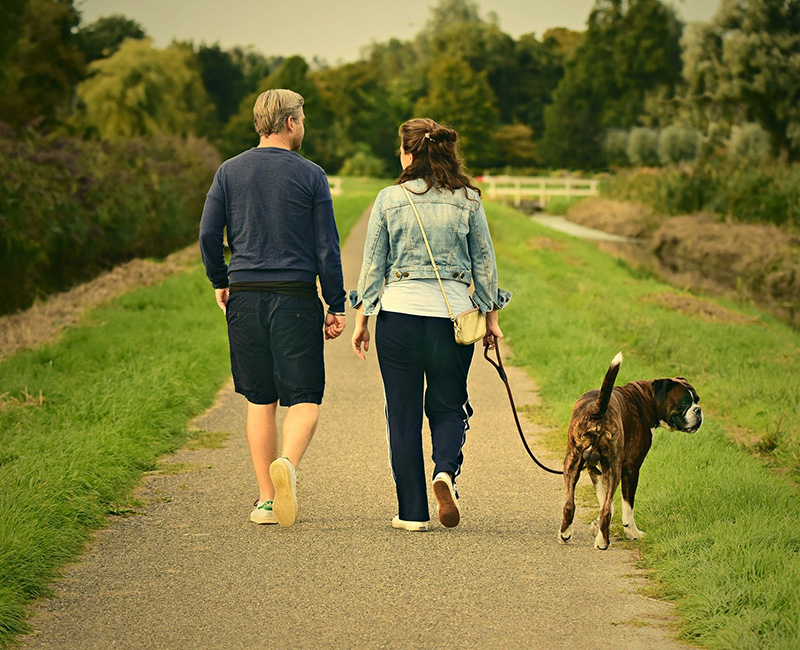 как укрепить иммунитет прогулка